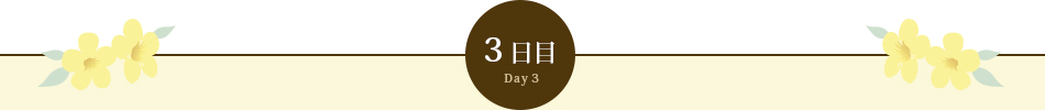 3日目