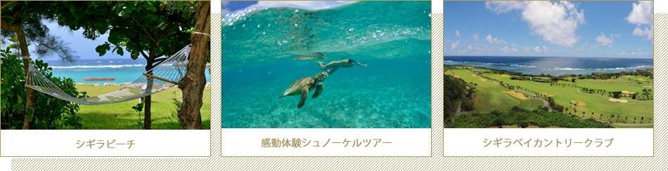 Marine & Firld Activities